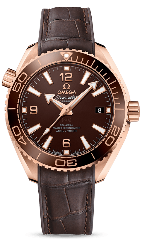 Seamaster Planet Ocean 600M Master 