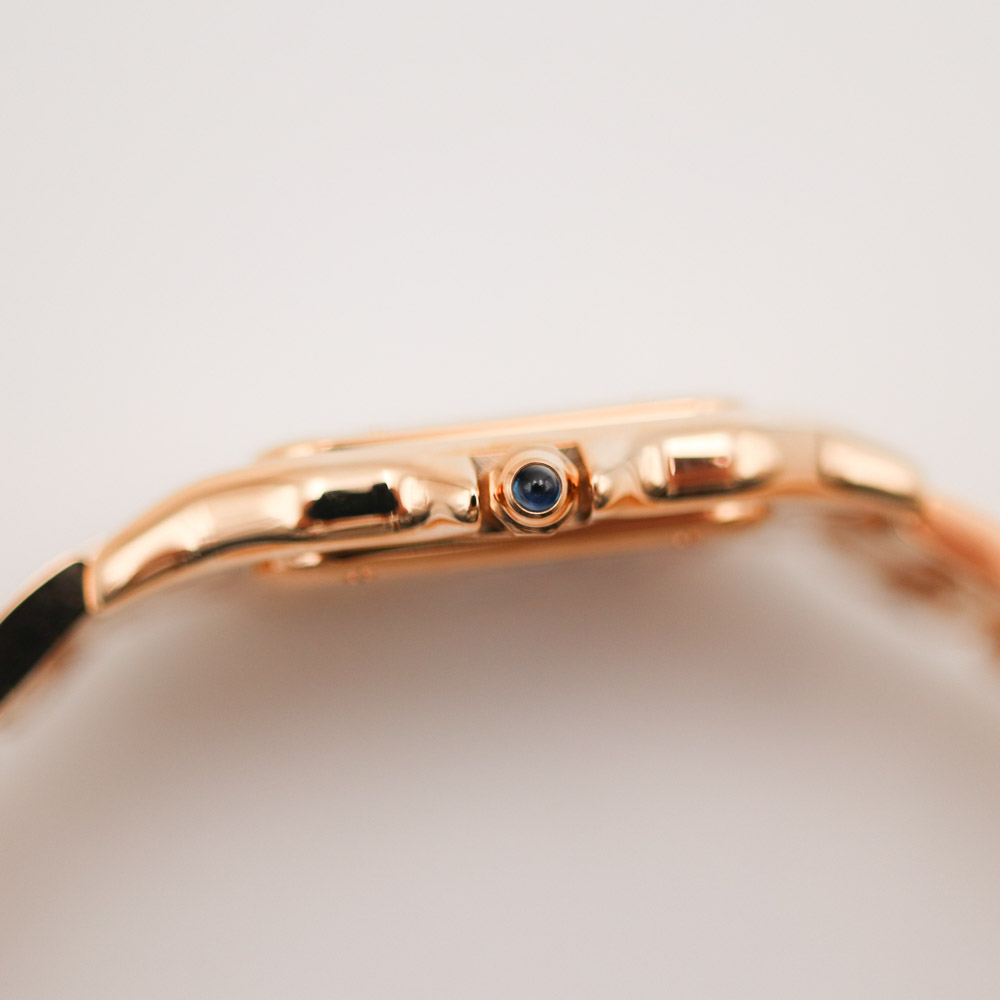 Cartier Panthère de Cartier Medium