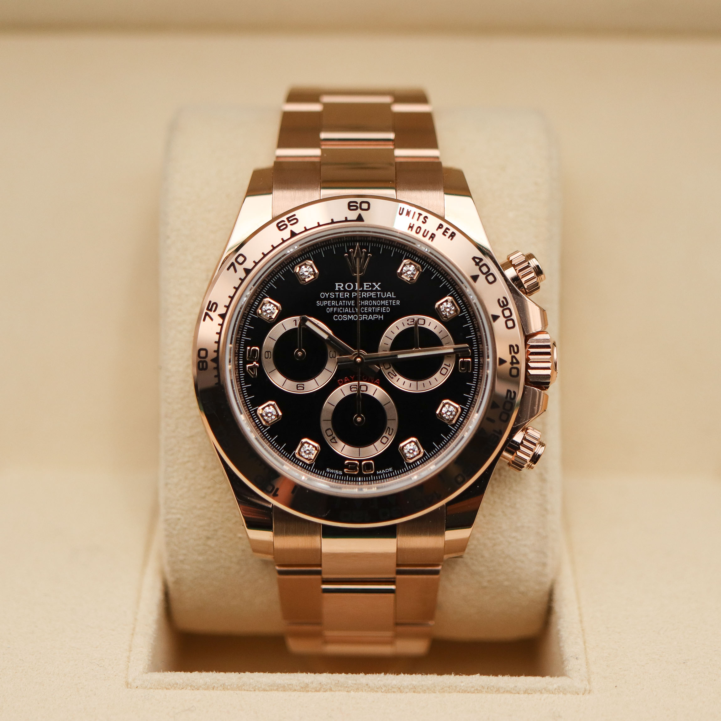 rolex daytona bronze