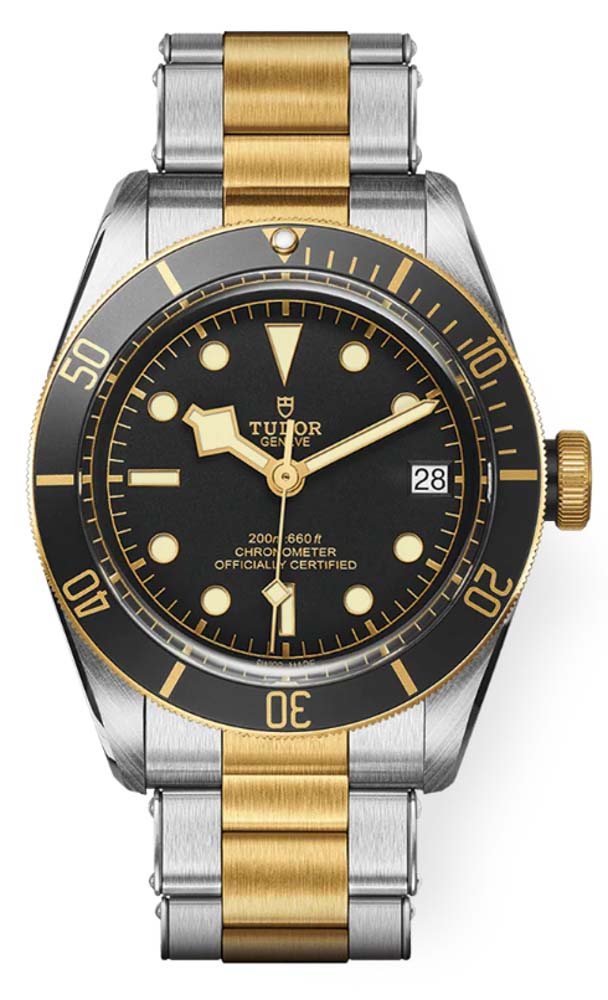 Tudor Black Bay