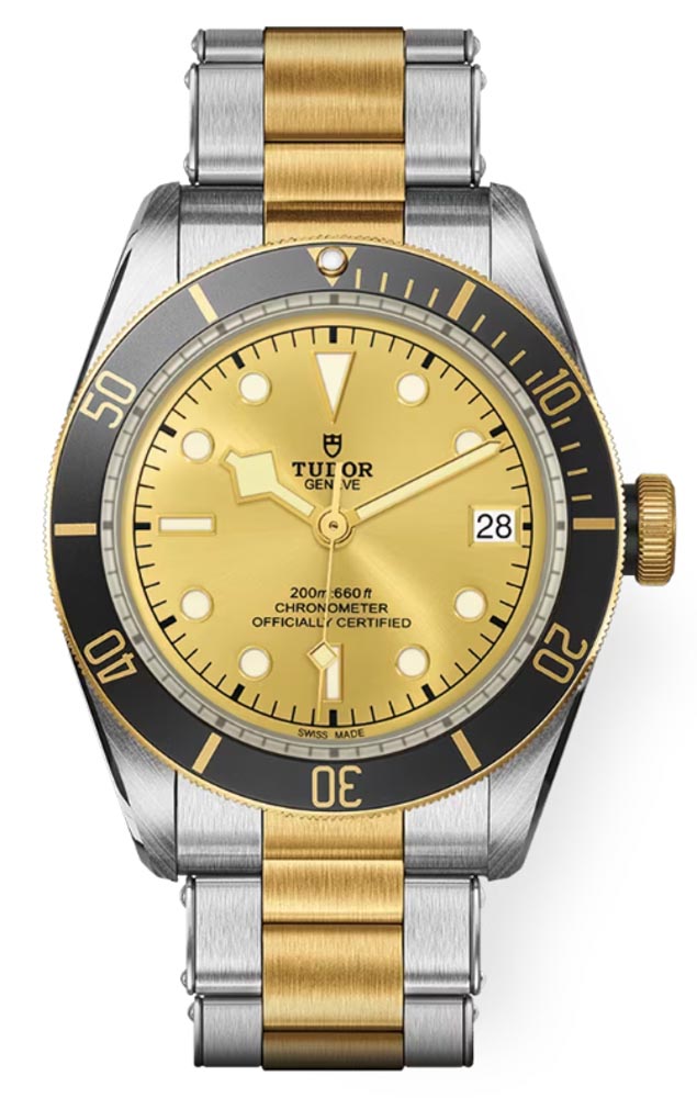 Tudor Black Bay