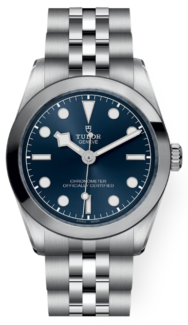 Tudor Black Bay 31