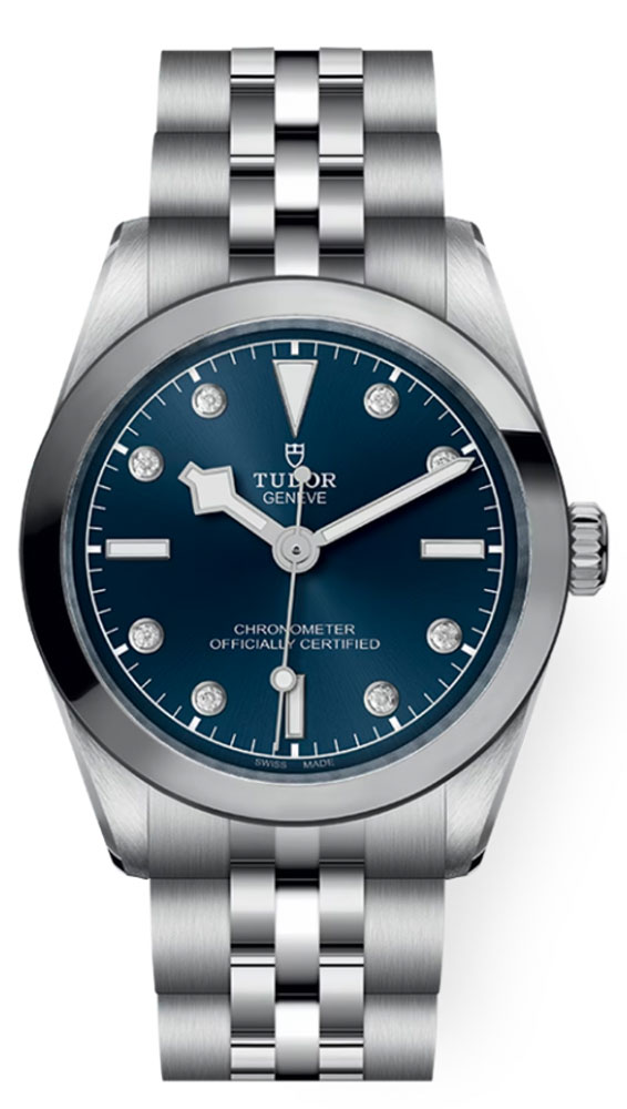 Tudor Black Bay 31