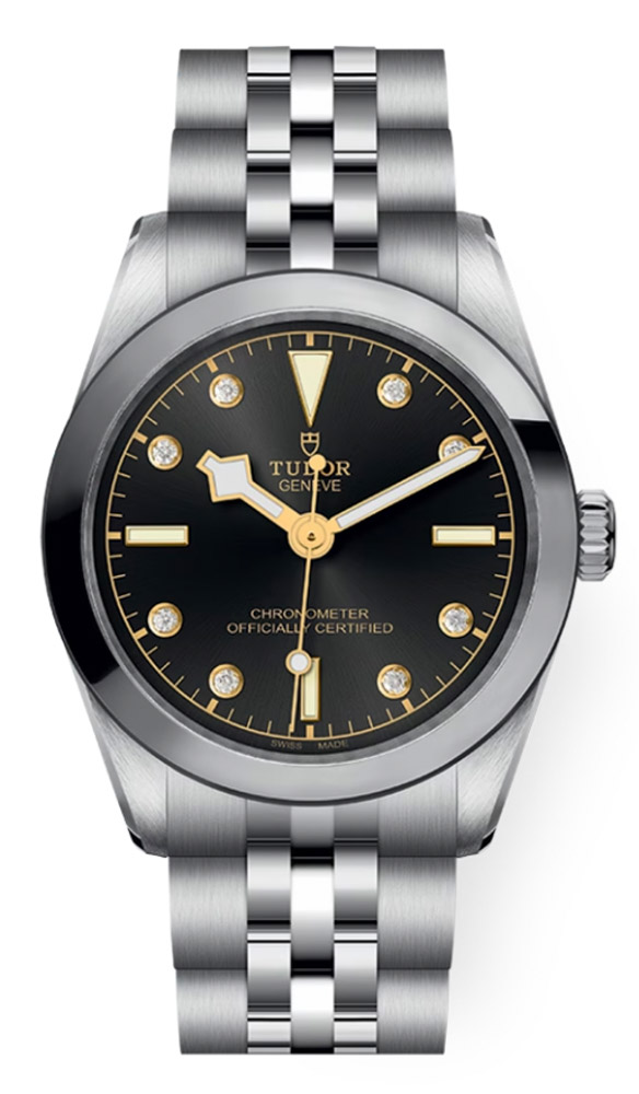 Tudor Black Bay 31