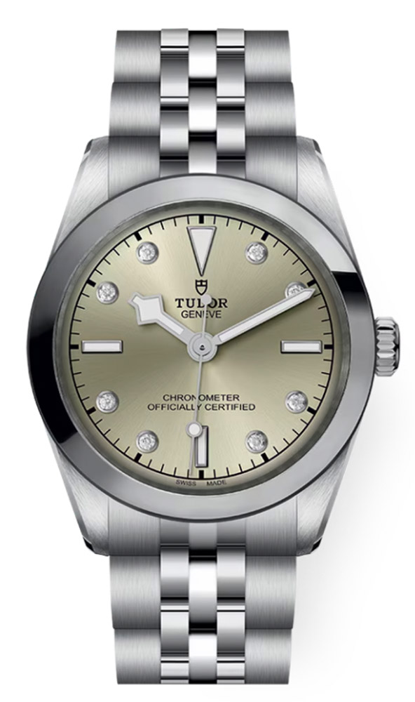 Tudor Black Bay 31